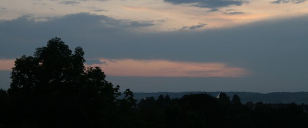 IMG_8287